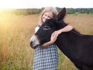 Girl with a donkey in the field