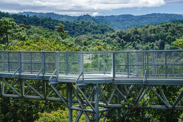 Fototapeta na wymiar The Canopy walkway, Queen Sirikit Botanic Garden Chiangmai Thailand,metal walkway in forest, iron bridge