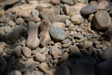 Quelques cailloux et de l'ombre