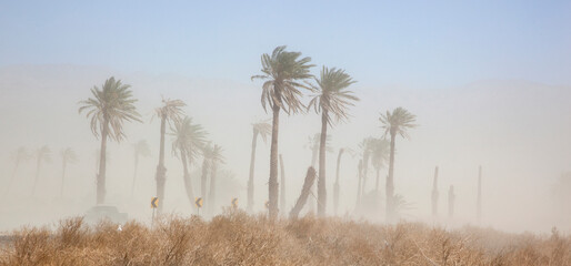  Dust Storm blowing in the California desert