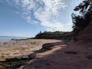 beach and rocks