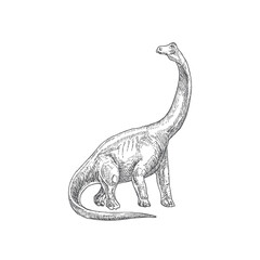 Prehistoric Dinosaur Doodle Vector Illustration. Hand Drawn Brontosaurus Reptile Engraving Style Drawing. © createvil