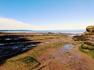 beach and rocks