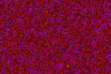 modern design huge amount of bio bacteria computer art texture illustration