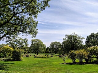 Fototapeta na wymiar Green grass blue sky and trees