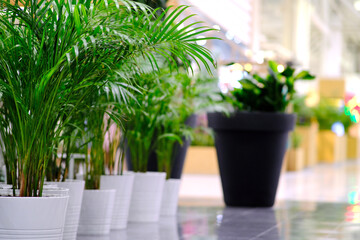 Abstract bokeh background of Street Traffic lights, diluted bokeh, bluer