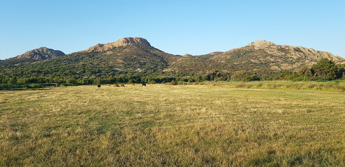 Fototapeta premium Landscape in Ostriconi beach, Corsica, France