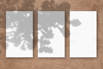 3 vertical sheets of textured white paper on wooden table background. Mockup overlay with the plant shadows. Natural light casts shadows from the oak leaves. Horizontal orientation