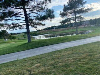 golf course in the forest