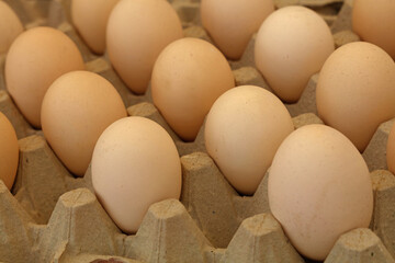 Close up brown chicken eggs in tray carton