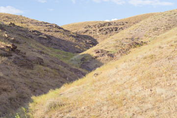A gorge in the rocky mountains. Sparse vegetation and stones.