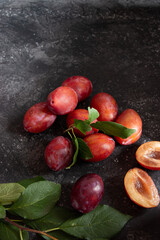 Ripe plum (cherry plum) and green leaves on the branches on a dark background. Still life in a dark key. Simple layout with copy space for text.