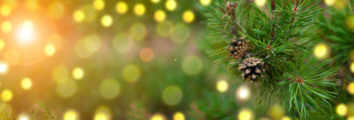 Fototapeta na wymiar Christmas tree banner. Fir tree pine cones with beautiful garland bokeh lights