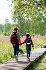 Obraz premium grandmother and granddaughter walk in the forest along the path among the swamps in summer