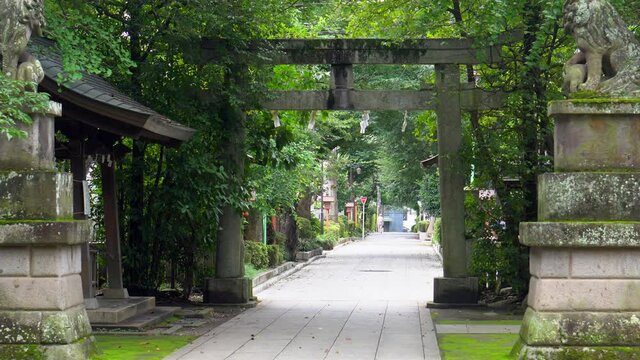 These arches called Torii are traditional of the original religion of Japan called Shinto. It is believed to mark the boundary between the underworld and the spiritual world.