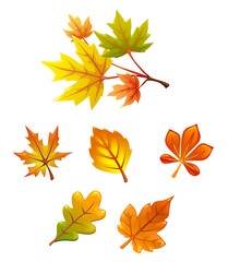 Fototapeta na wymiar Set of autumn yellow leaves and nuts