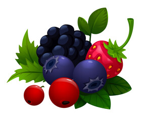 illustration of berries, forest. strawberry, forest strawberry, wild strawberry, blueberry, cranberry, leaves, BlackBerry, Rowan. food.