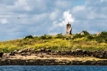 standing stones on the island of Er Lannic, in the Gulf of Morbihan, in Brittany