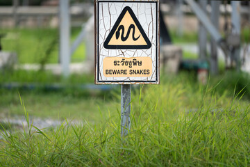 "Beware snakes" warning safety sign - object photo at overgrown grass area. Thai text meaning is paralleled with English text.