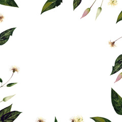 Frame with leaves and herbs on white background. Waterclolor illustration.