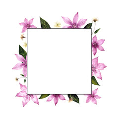 Frame with flowers clematis on white background. Waterclolor illustration.