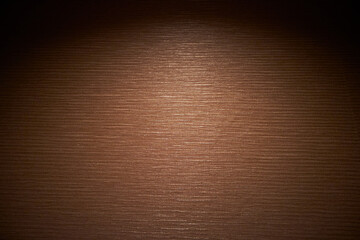 Fototapeta premium Tekstura drewna