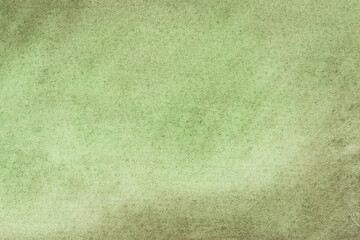 Fototapeta premium green pastel background texture