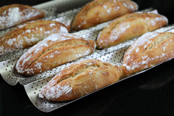 Italian sourdough buns. Roman sourdough buns - chiriola. The Roman chiriola
