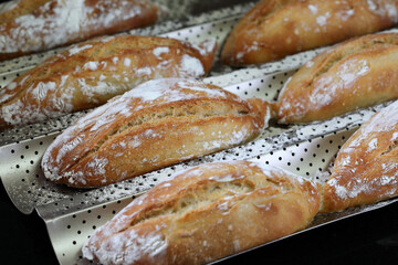 Italian sourdough buns. Roman sourdough buns - chiriola. The Roman chiriola