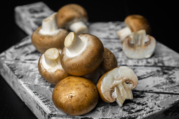 Royal fresh mushrooms. Dark background. Close up