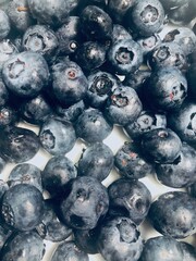 Blueberry background