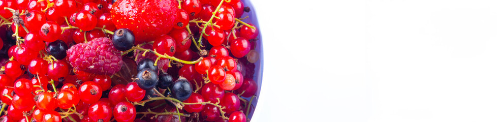 mixed berries in a bowl