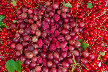 background of ripe juicy different berries
