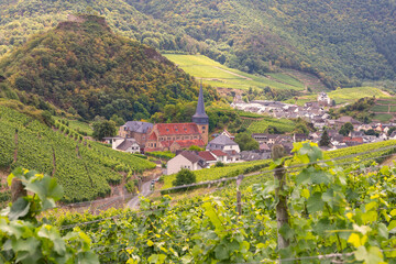 Naklejka premium Blick auf Mayschoß an der Ahr
