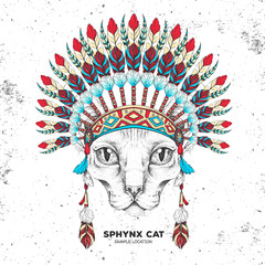 Hipster animal sphynx cat with indian feather headdress. Hand drawing Muzzle of animal sphynx cat