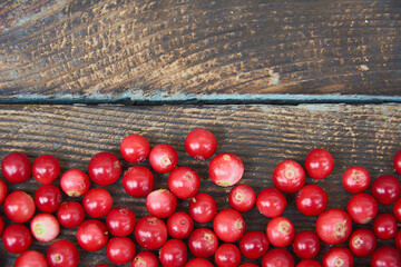 Cranberry or Cowberry on dark rustic wooden background or texture. Top view blurred. Wild berry. Fresh organic Lingonberry. Selective soft focus.