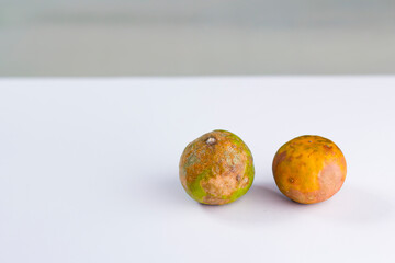 The pictures of two limes are arranged in a perfect imperfect style on an isolated white-gray background. There is copy space for text.