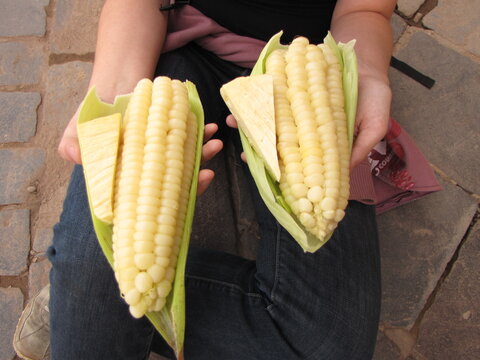 Choclos con queso en el mercado de cusco