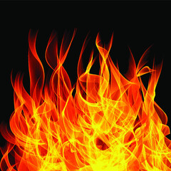 Fototapeta premium burning fire flame on black background