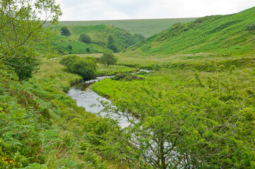 Fototapeta na wymiar The River Barle Valley, near Simonsbath, Exmoor, Somerset, England