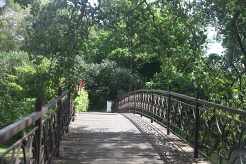 Fototapeta premium old wooden bridge