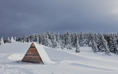 Part of wooden building on the ground. Magical winter landscape with snow covered trees at daytime