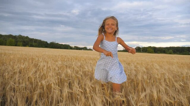 Beautiful happy girl with long blonde hair running to the camera through wheat field. Little smiling kid jogging over the meadow of barley. Cute child spending time at golden plantation. Slow motion