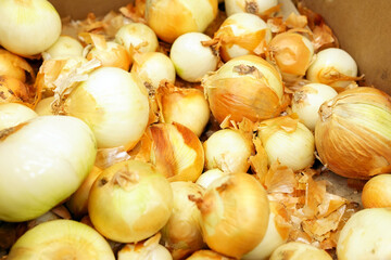 onions on the shelves of a vegetable supermarket background