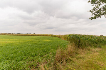 Agricultural field near Midlaren, The Netherlands