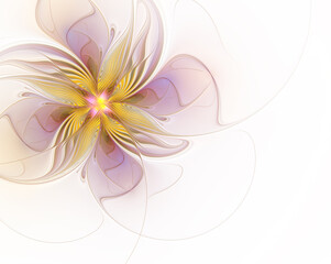 Abstract fractal  flower on white background
