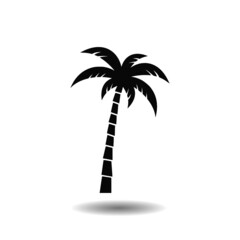 Palm tree icon with shadow