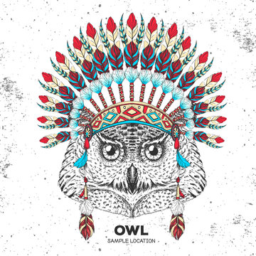 Hipster bird owl with indian feather headdress. Hand drawing Muzzle of bird owl