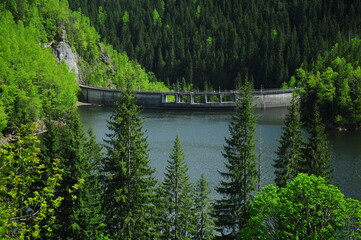 Sadu river dam. May. Cindrel Mountains, Carpathia, Romania.