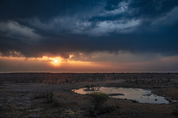 Obraz premium Lightning storm and zebras at waterhole at sunset